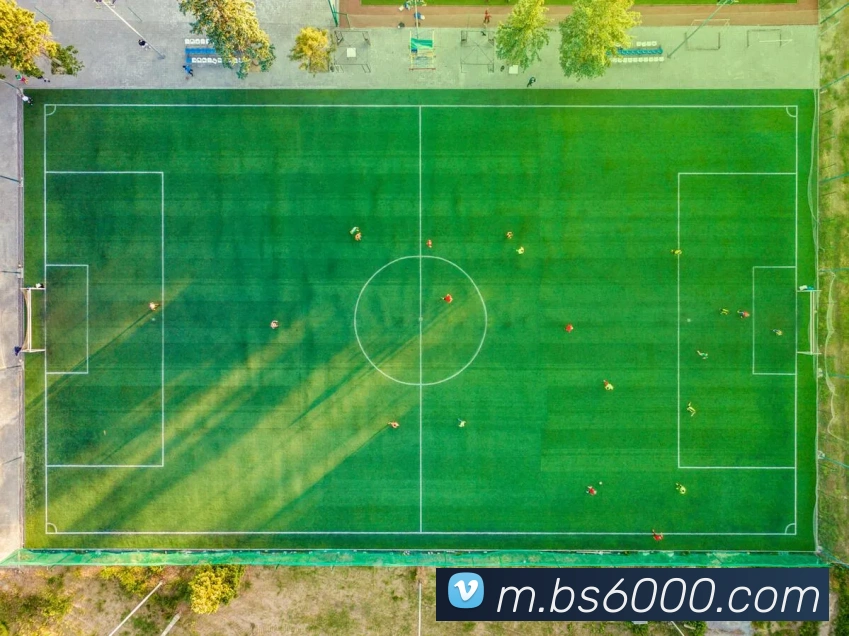 百胜彩票官网平台登录入口品牌故事